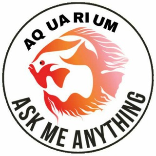 AQUARIUM AMA