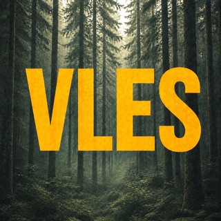 VLES’26