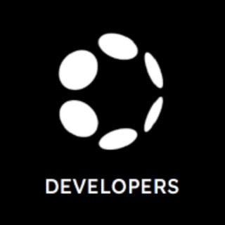 Polkadot Developer Support