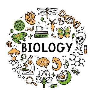 NEET Biology in hindi