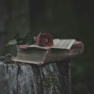 ©Mustafo ™| Blog { Satrlar }
