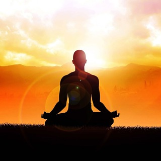 Yoga Dharma поддержка