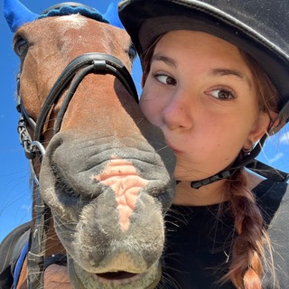 Чат Коноблог из фаворита🐎