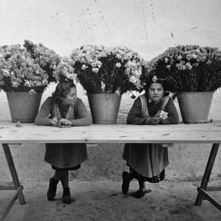 Флористы Florist 🌷 Вакансии и Кандидаты | headhunter 🌸 Работа в Цветочной Сфере
