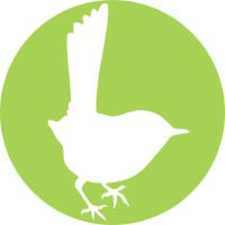 birds.uz_bot