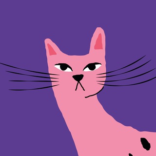 Кот Контента