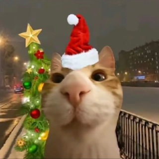 Гамлек печатает…