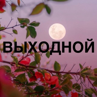 Влада 🍓 продажа рекламы у блогеров