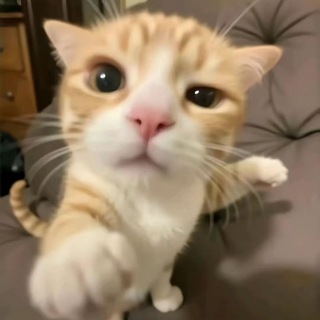 Lopster