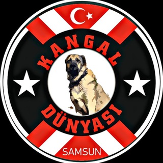 KANGAL DÜNYASI 🇹🇷