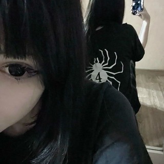 Редан Чат | Общения Знакомство🕸🕷