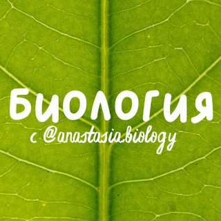 Биология (ЦТ и ЕГЭ) 🍀
