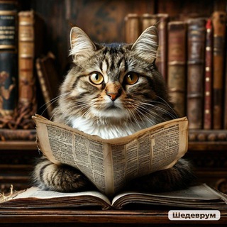 Котофакты 24/7