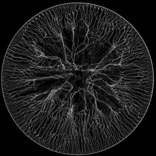 FREQUENCY