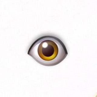 KONKURS👁