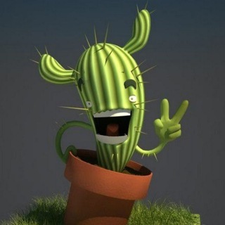 ТеКилаИнвест🌵