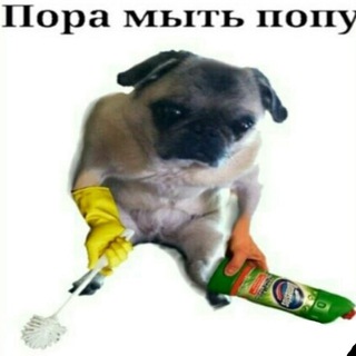Арсений