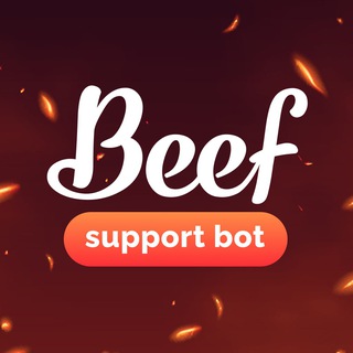 BEEF Support Bot