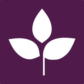 Tairai_support