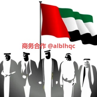 🇦🇪迪拜酋长