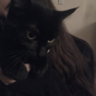 mi 🖤
