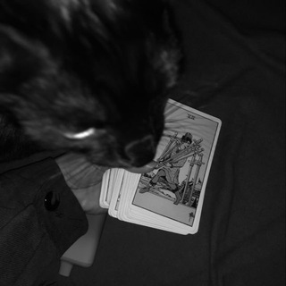 tarotist.