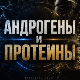 АНДРОГЕНЫ И ПРОТЕИНЫ