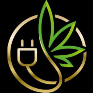 MCAN Coin