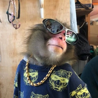 прайс канала "Бибизян🍌🐒"