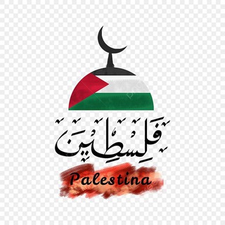 اخبار القدس وفلسطين 🇵🇸 ( الاحتياطيه )