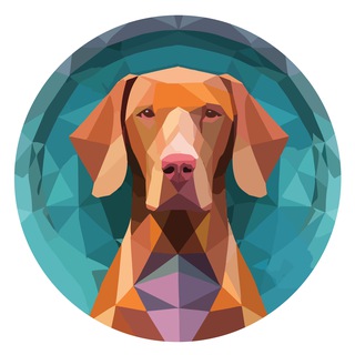 🇮🇹Hungarian Vizsla Inu ITALIA