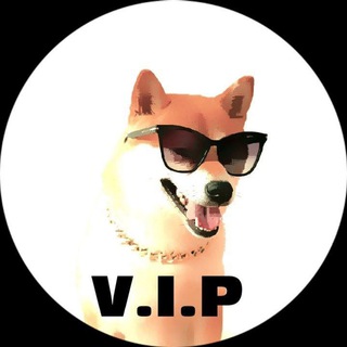 VIP Shiba- OFFICIAL