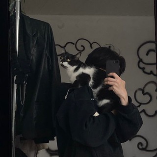 ㅤㅤㅤㅤㅤㅤ