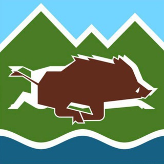 Чат Крымские Кабаны 🐗