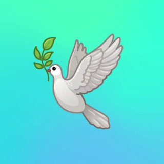 Редкино Реклама/Новости
