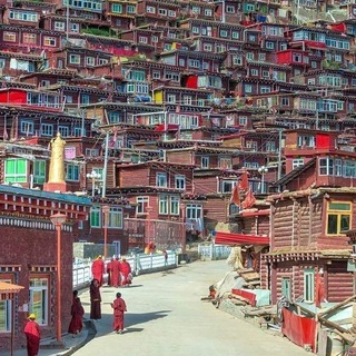 Gente Buena del Pueblo👍🙈🏘