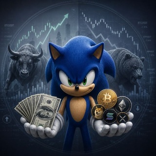 Sonic the Professional