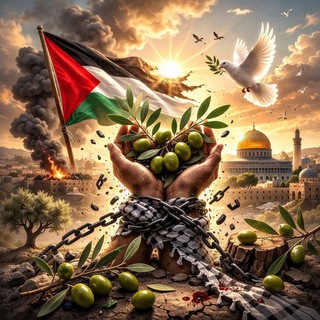 ارضـ 🇵🇸 الزيـتـونـ 🌿
