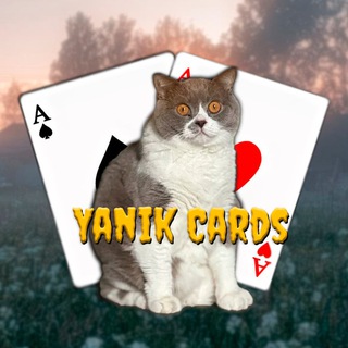 Ян Cards