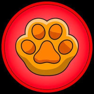 PawSwap TR 🇹🇷