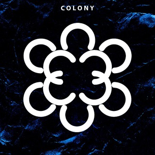 Hip Hop Colony