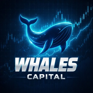 Whales Capital Admin