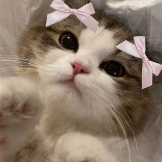 Взаимные подписки ❤️ пиар