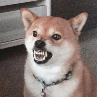 Doggoch Community