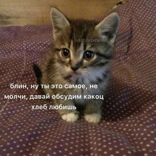 Тейки для кф по кд