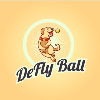 DeFlyBall - Official Group