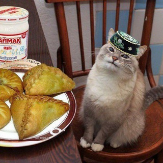 TATAR MÄÇE
