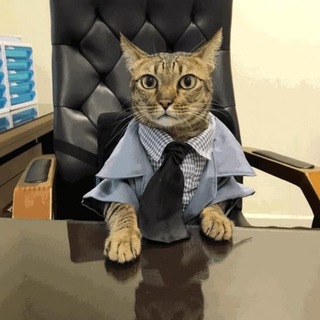 Y S L agent | продаю