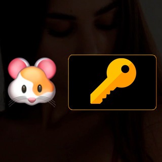 Free Key Generator for Hamster