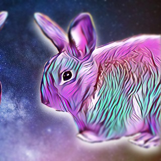 𝕯𝖆𝖓𝖎𝖑 𝕾𝖊𝖒